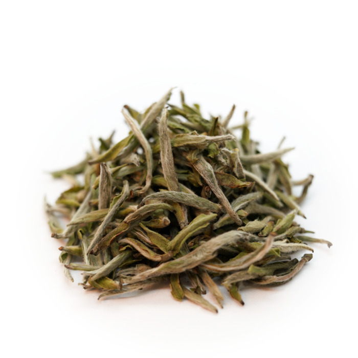 Bai Hao Yin Zhen tea leaves